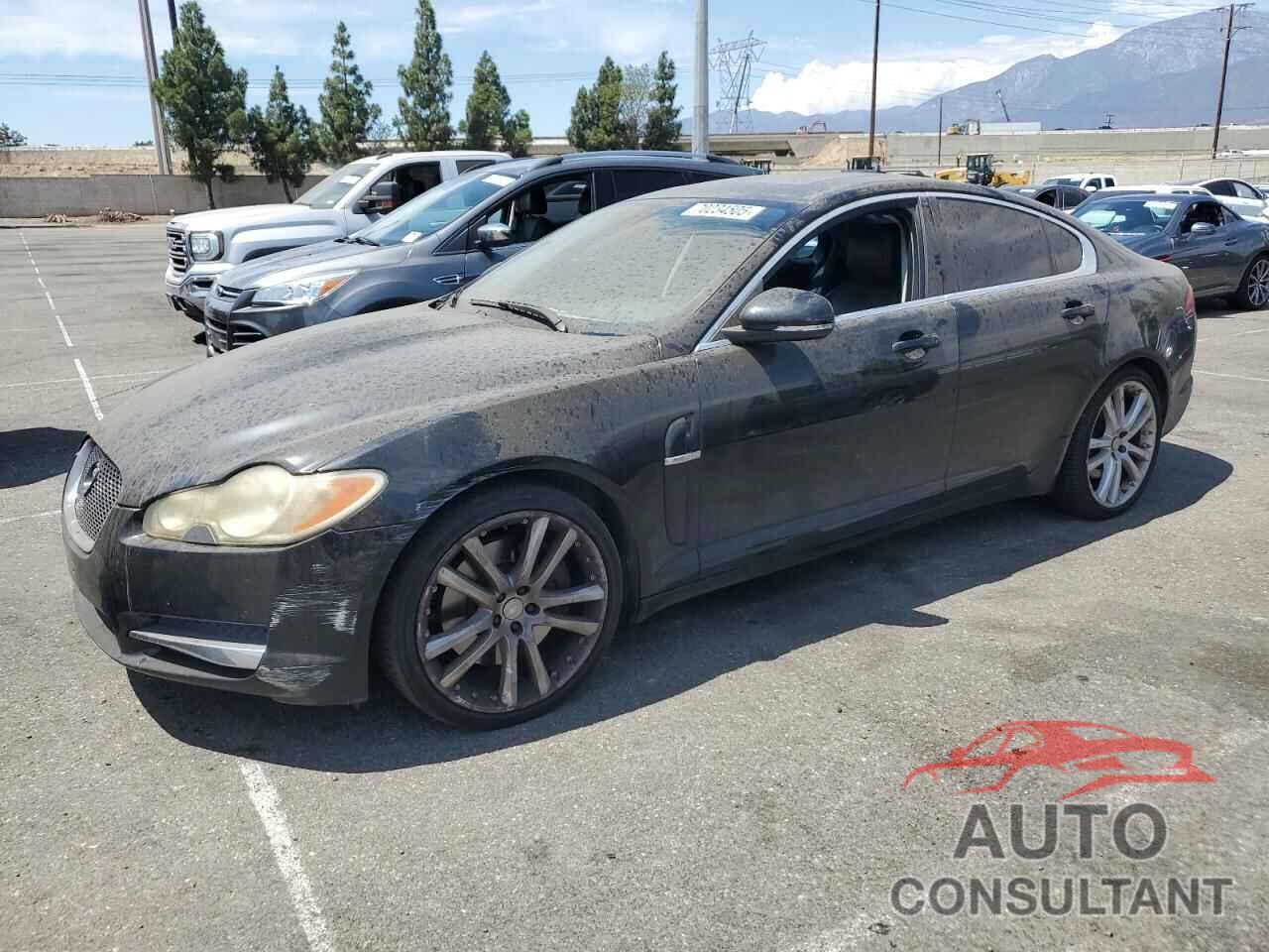 JAGUAR XF 2010 - SAJWA0GB3ALR78153