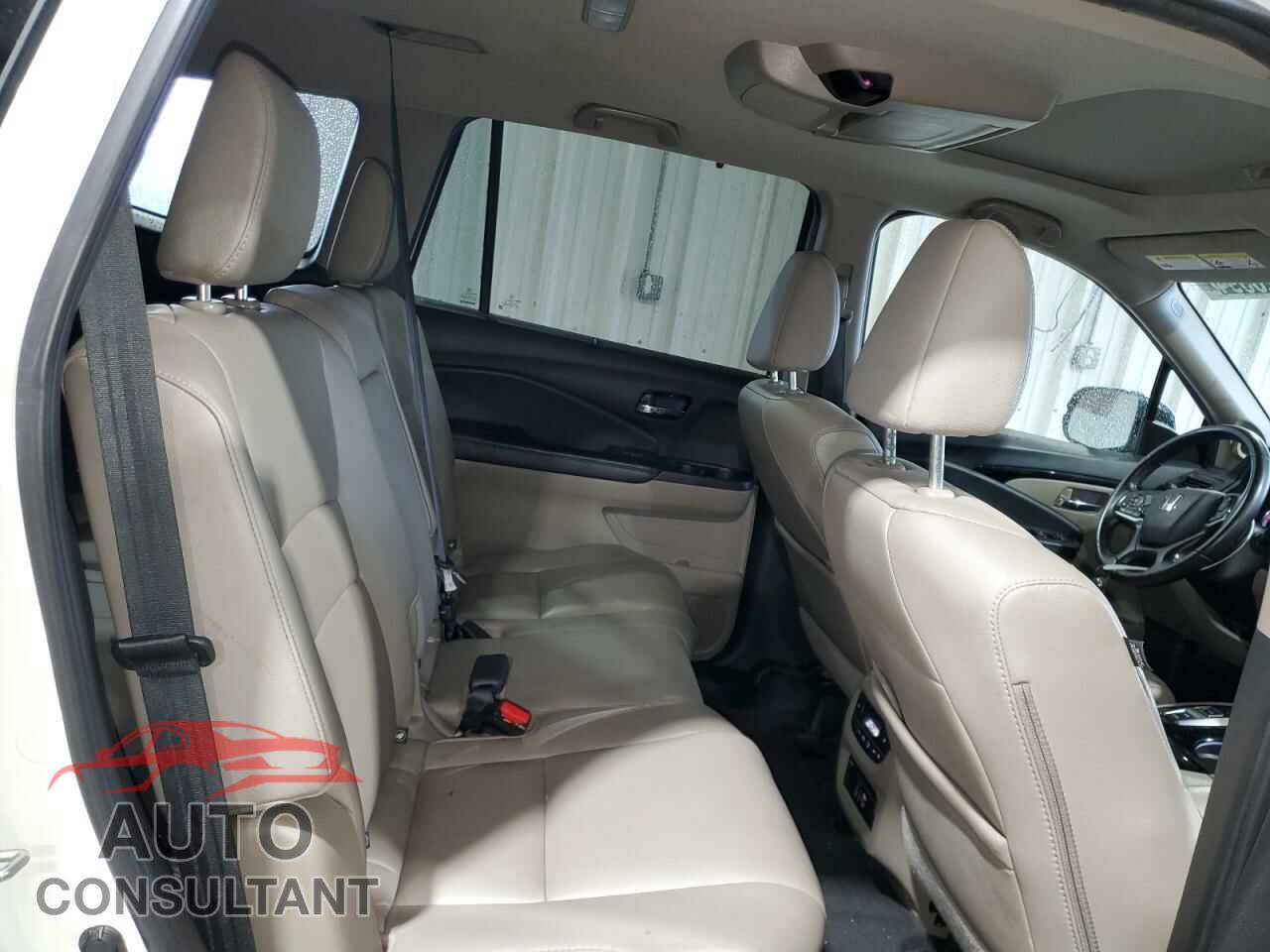 HONDA PILOT 2019 - 5FNYF6H95KB044281