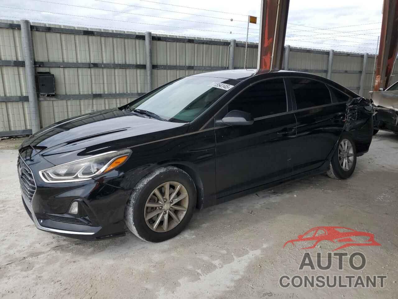 HYUNDAI SONATA 2019 - 5NPE24AF4KH779600