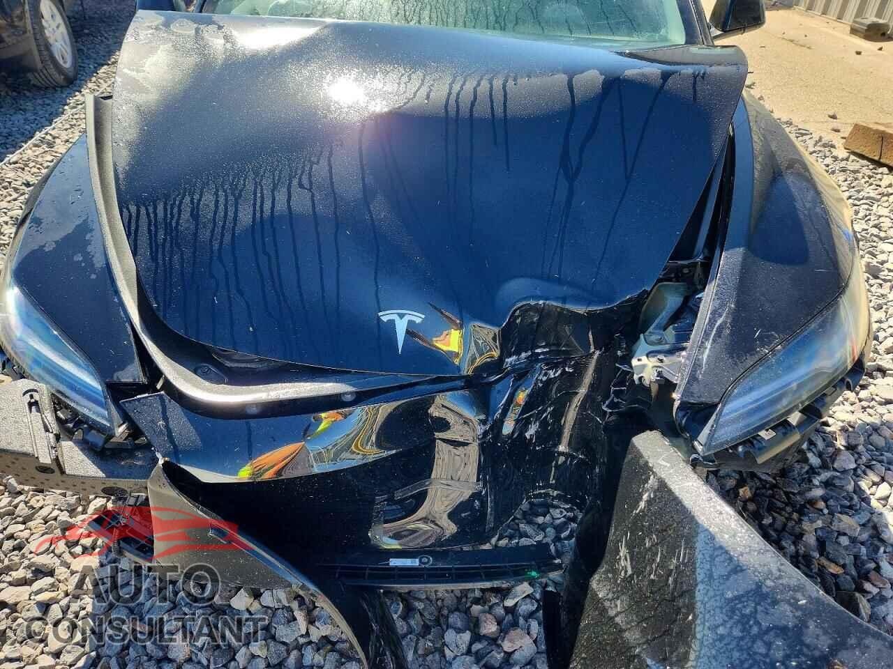 TESLA MODEL 3 2025 - 5YJ3E1EA2SF054524