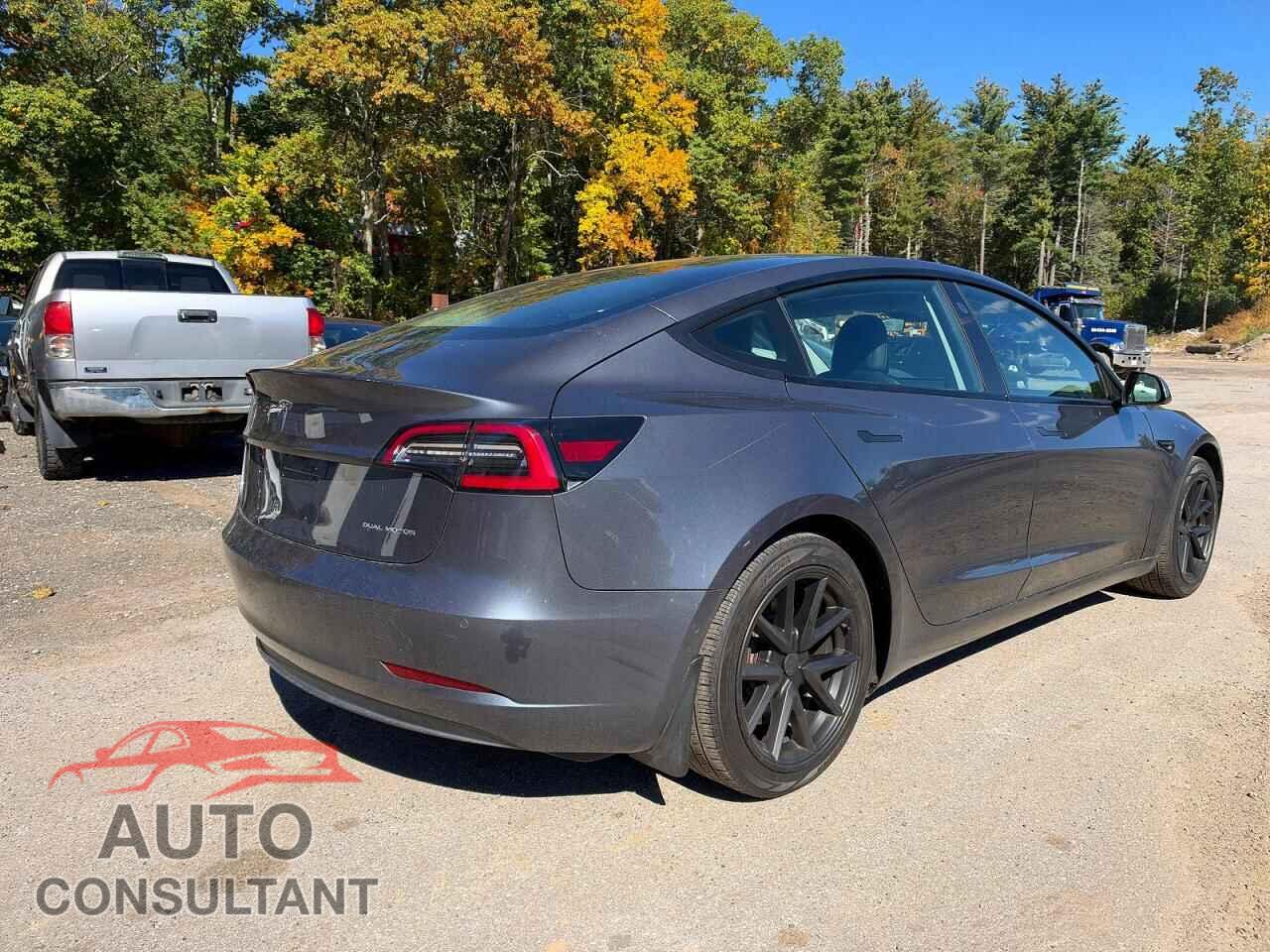 TESLA MODEL 3 2021 - 5YJ3E1EB3MF902504