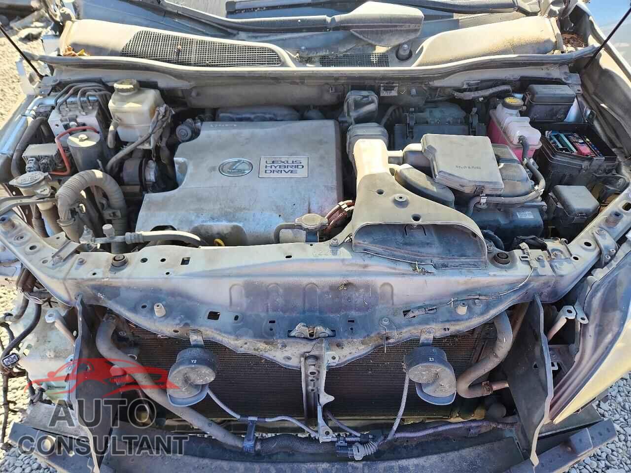 LEXUS RX450 2010 - JTJBC1BA8A2011682