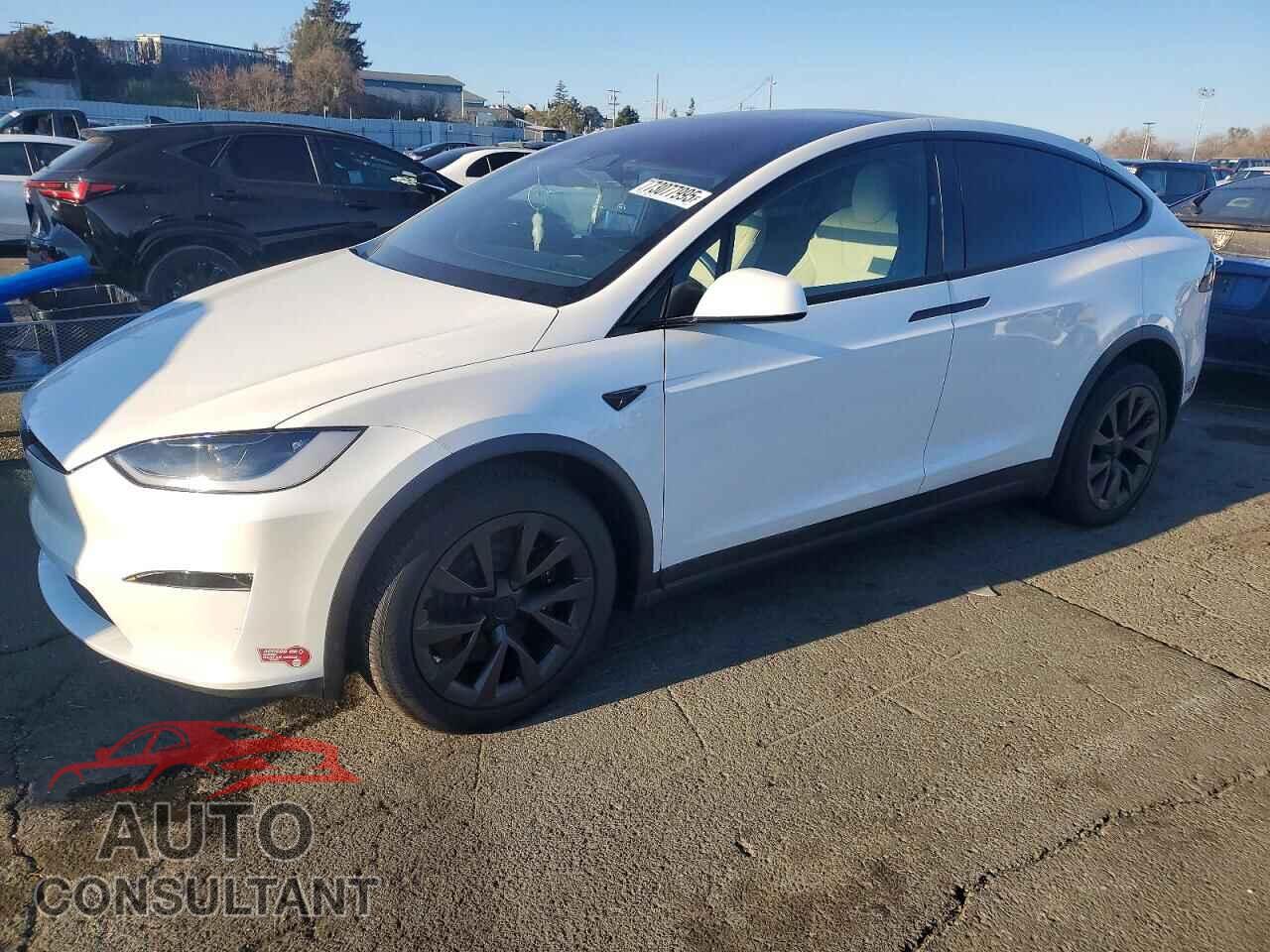 TESLA MODEL X 2024 - 7SAXCAE56RF443271