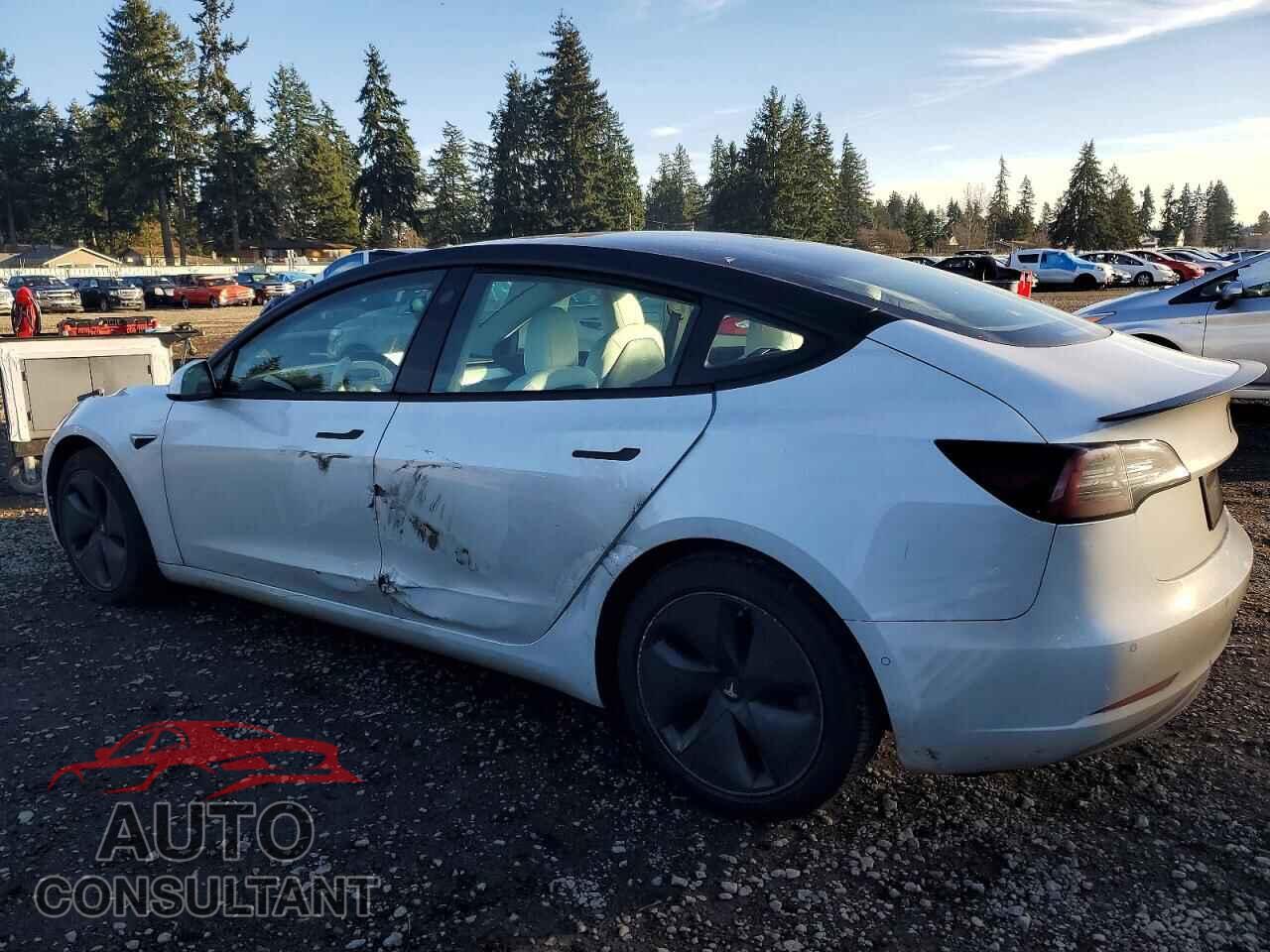 TESLA MODEL 3 2020 - 5YJ3E1EA6LF805108