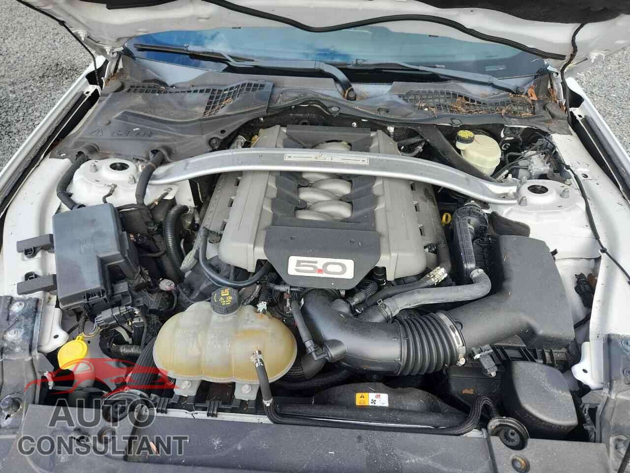 FORD MUSTANG 2016 - 1FA6P8CF1G5277649