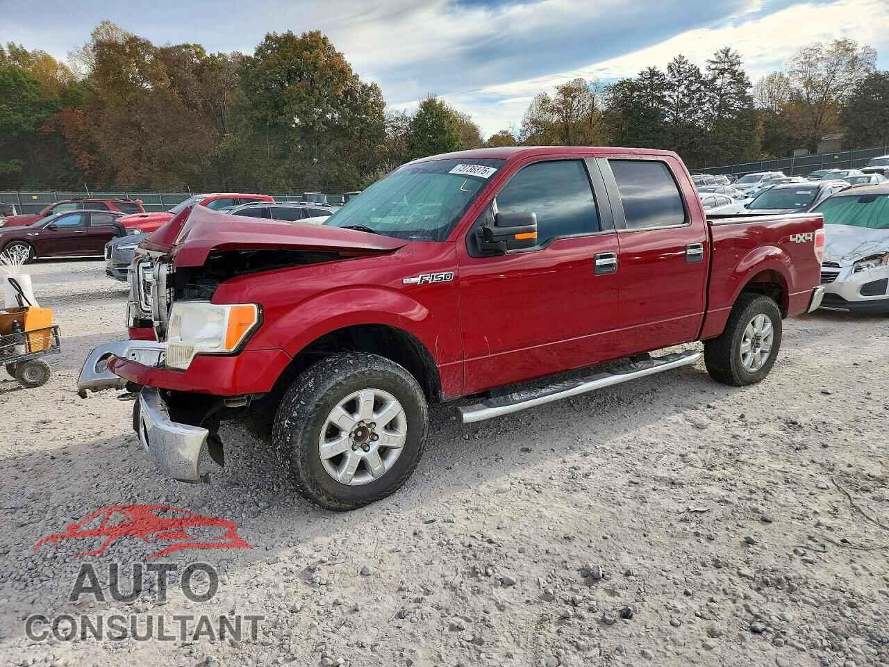 FORD F150 2013 - 1FTFW1EF3DFD99565