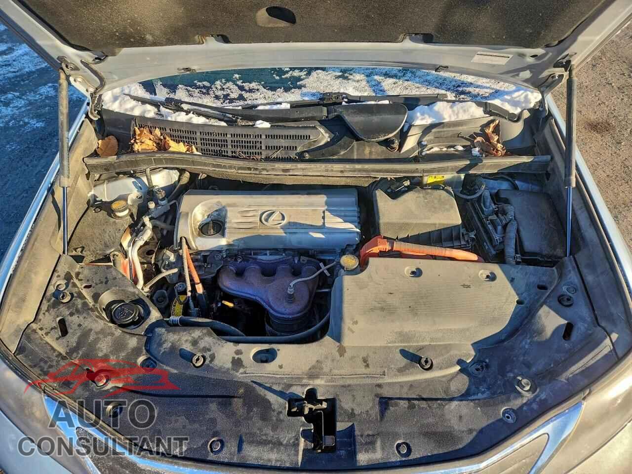 LEXUS HS 2010 - JTHBB1BA2A2020723