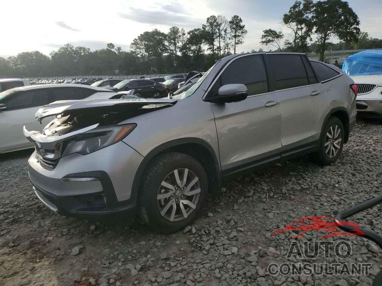 HONDA PILOT 2019 - 5FNYF5H37KB045695