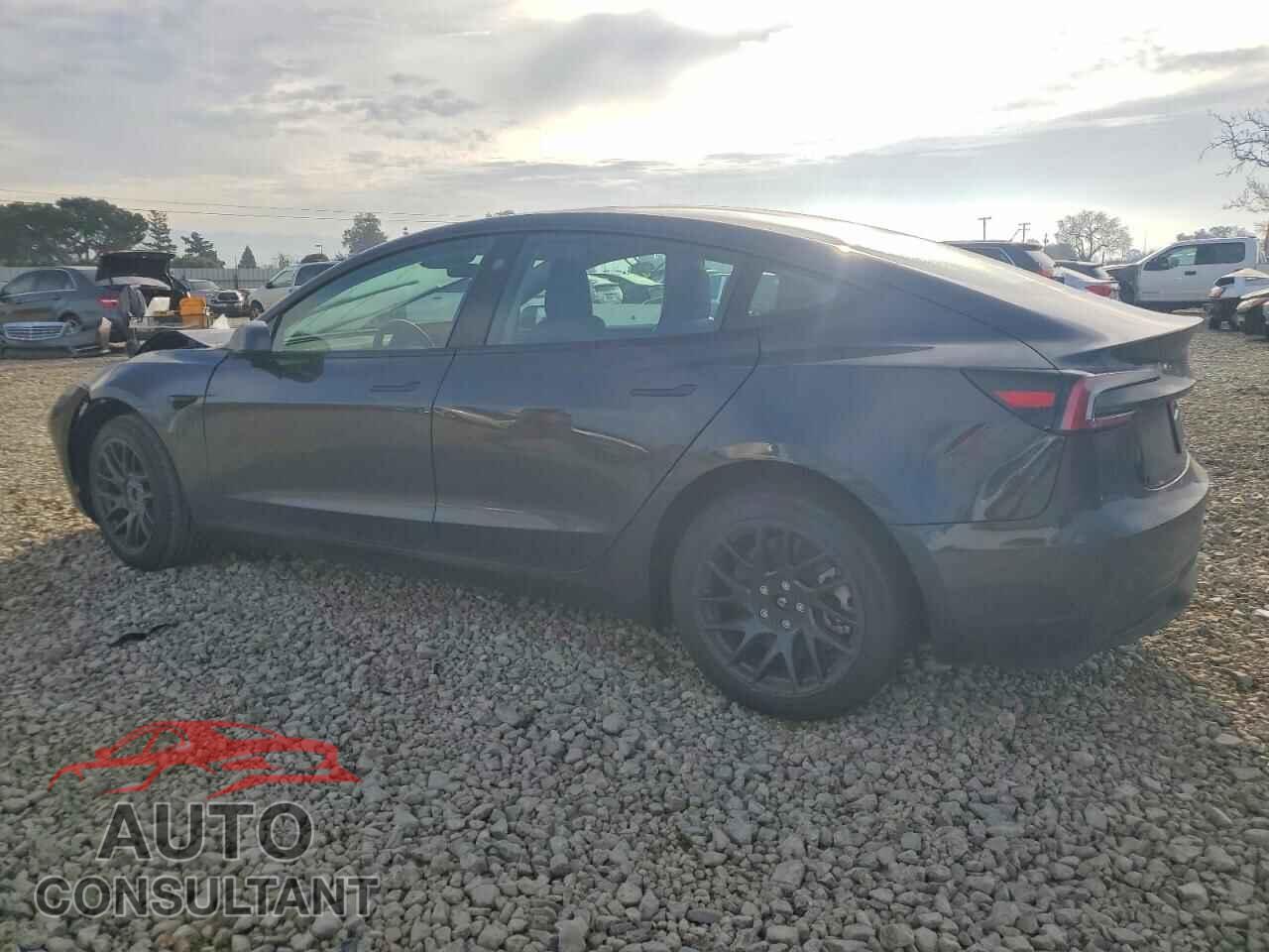 TESLA MODEL 3 2025 - 5YJ3E1EA7SF011863