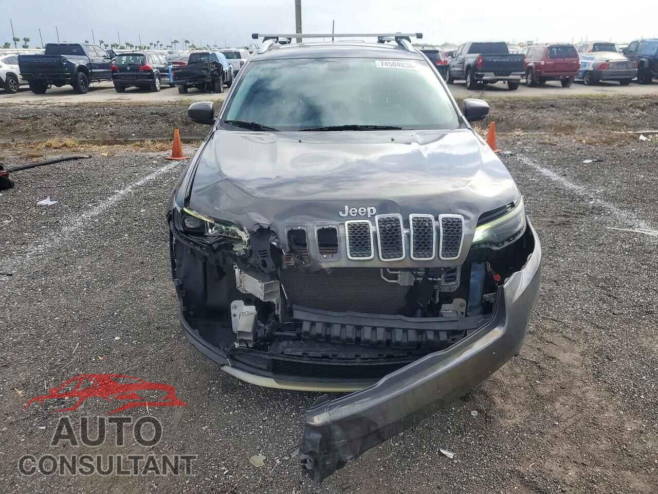 JEEP CHEROKEE 2019 - 1C4PJLDB9KD343247