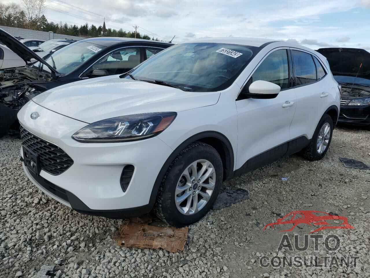 FORD ESCAPE 2020 - 1FMCU0G66LUB31972