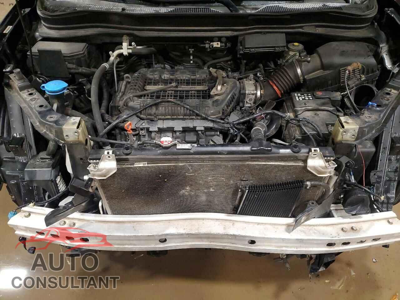 HONDA RIDGELINE 2017 - 5FPYK3F53HB030406