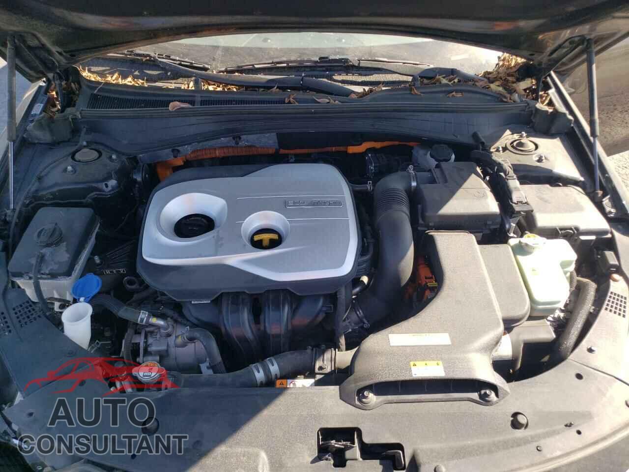 KIA OPTIMA 2017 - KNAGV4LD5H5010976