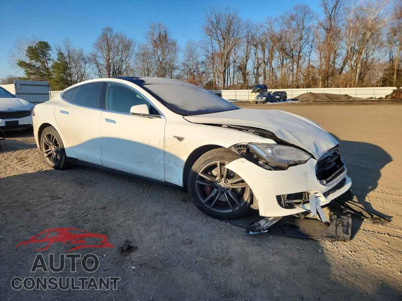 TESLA MODEL S 2013 - 5YJSA1CP9DFP03351