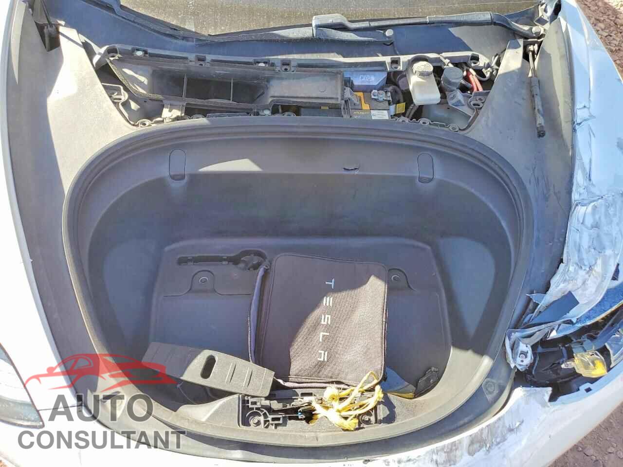 TESLA MODEL 3 2019 - 5YJ3E1EA8KF509179