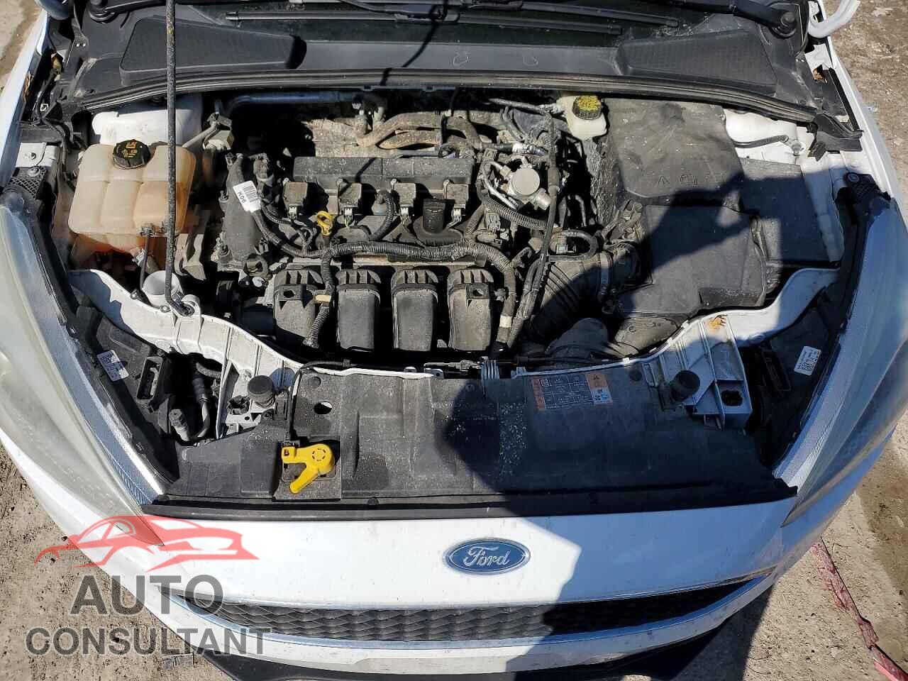 FORD FOCUS 2017 - 1FADP3F29HL320022