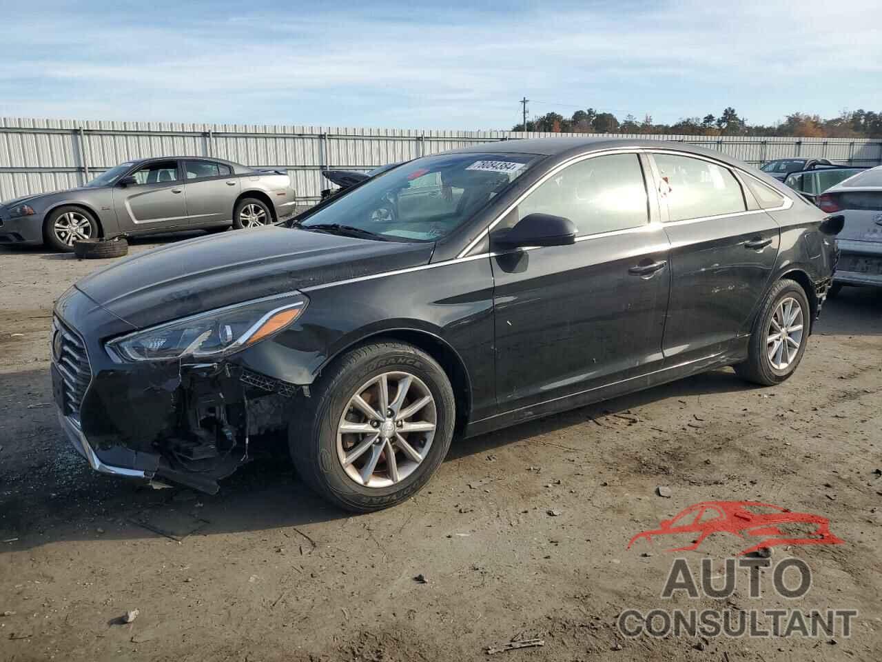 HYUNDAI SONATA 2019 - 5NPE24AF5KH764782
