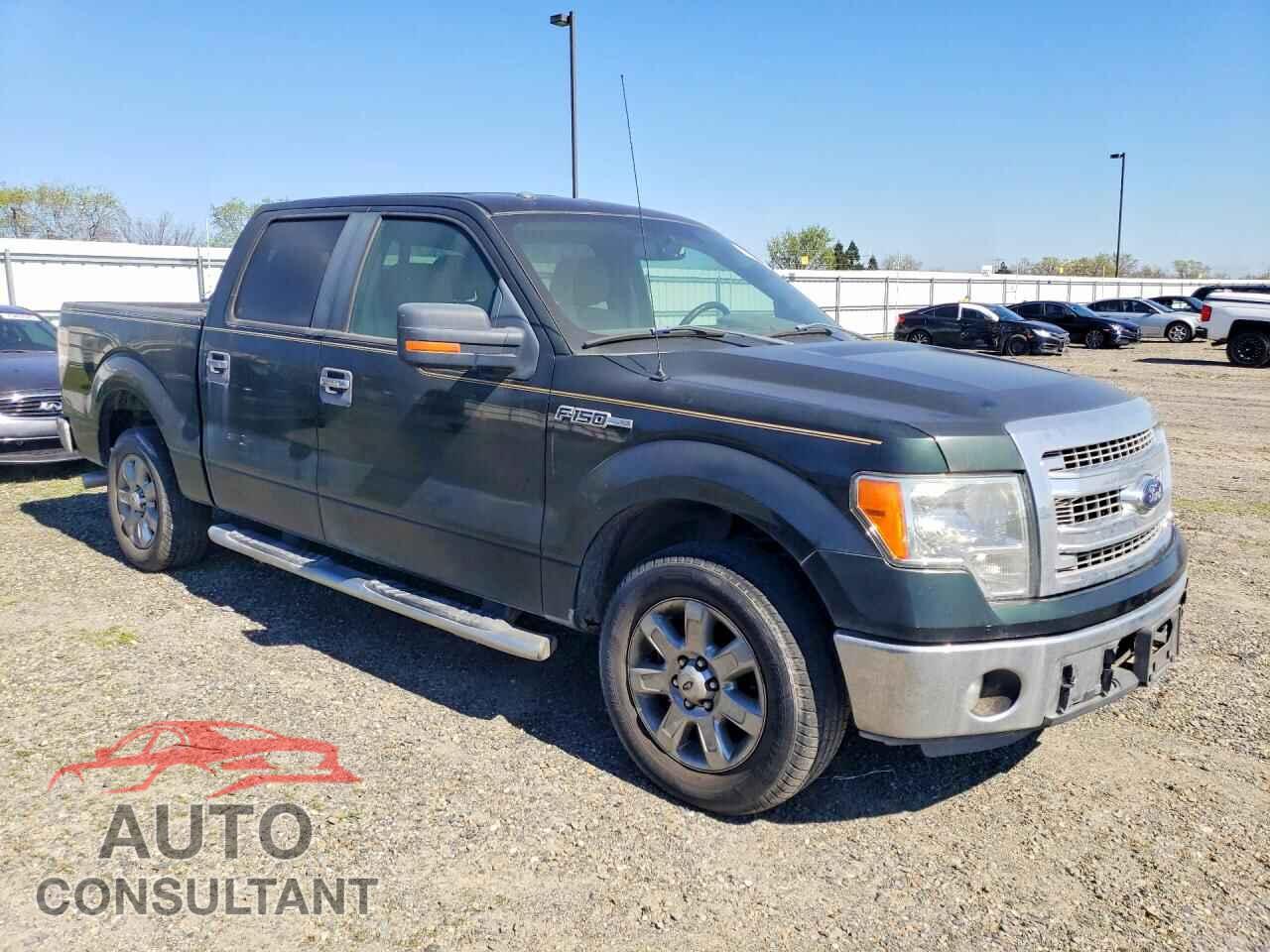 FORD F150 2013 - 1FTFW1CFXDFD63231