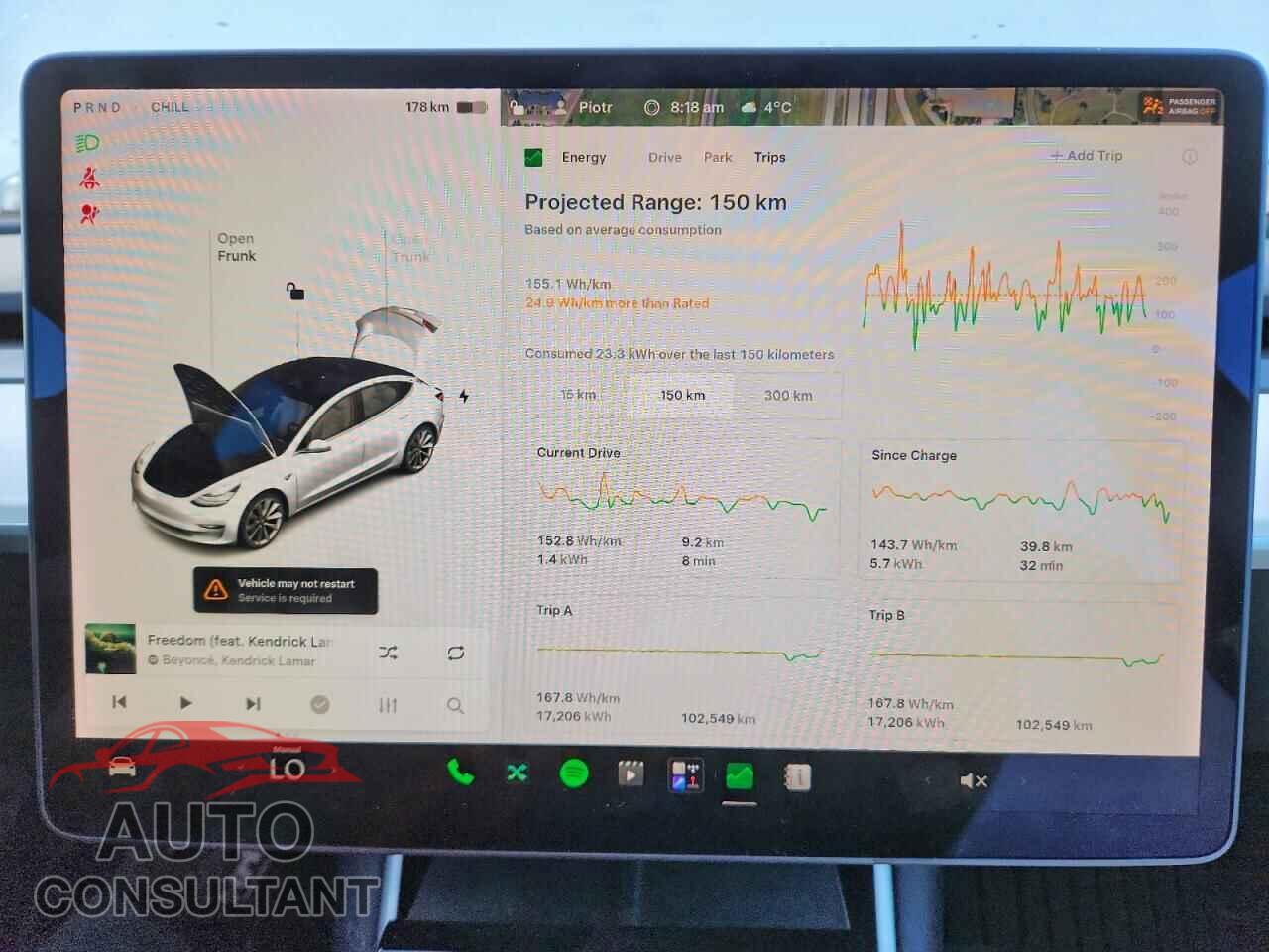 TESLA MODEL 3 2020 - 5YJ3E1EA4LF731929