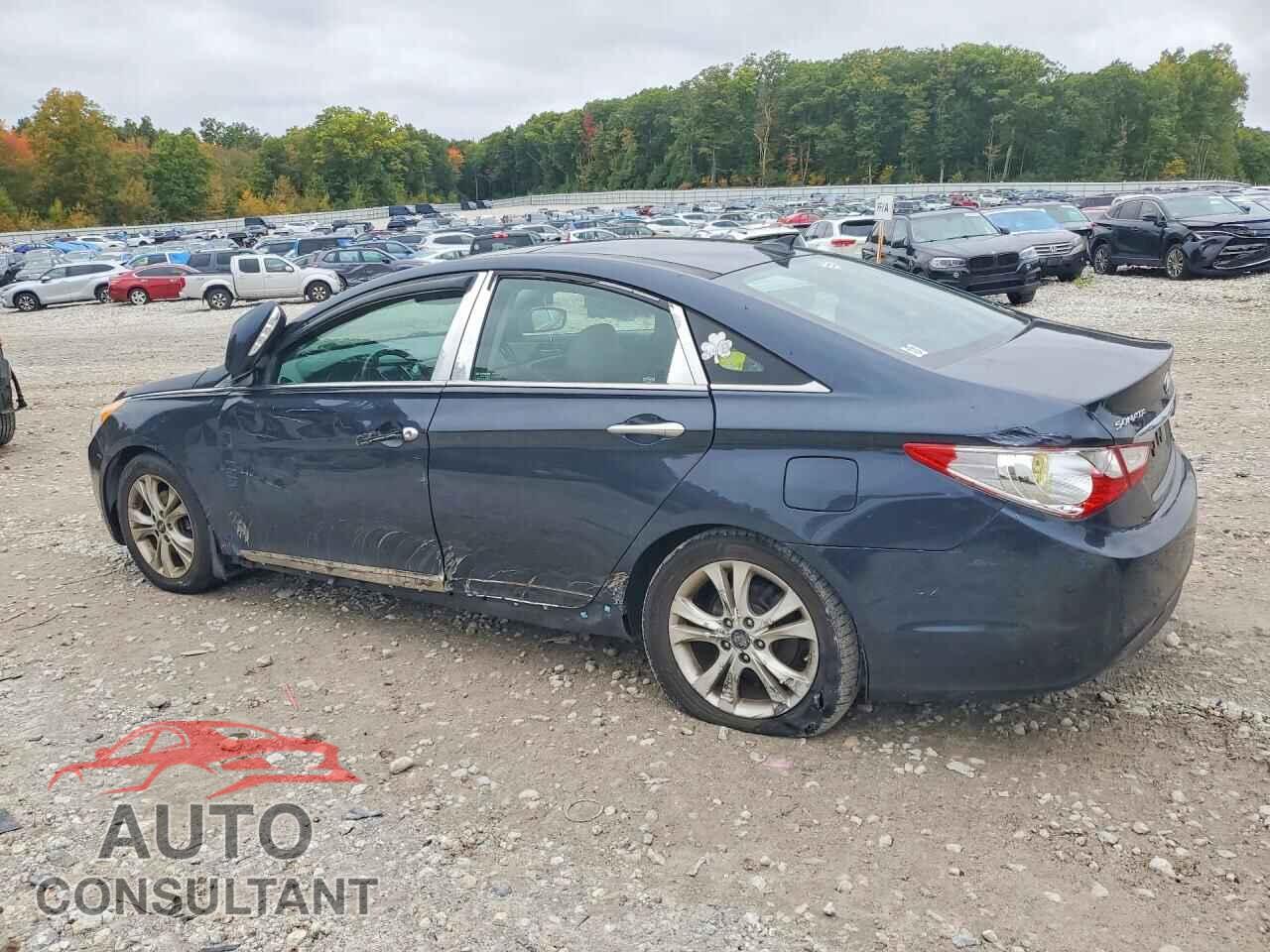 HYUNDAI SONATA 2013 - 5NPEC4ACXDH596014