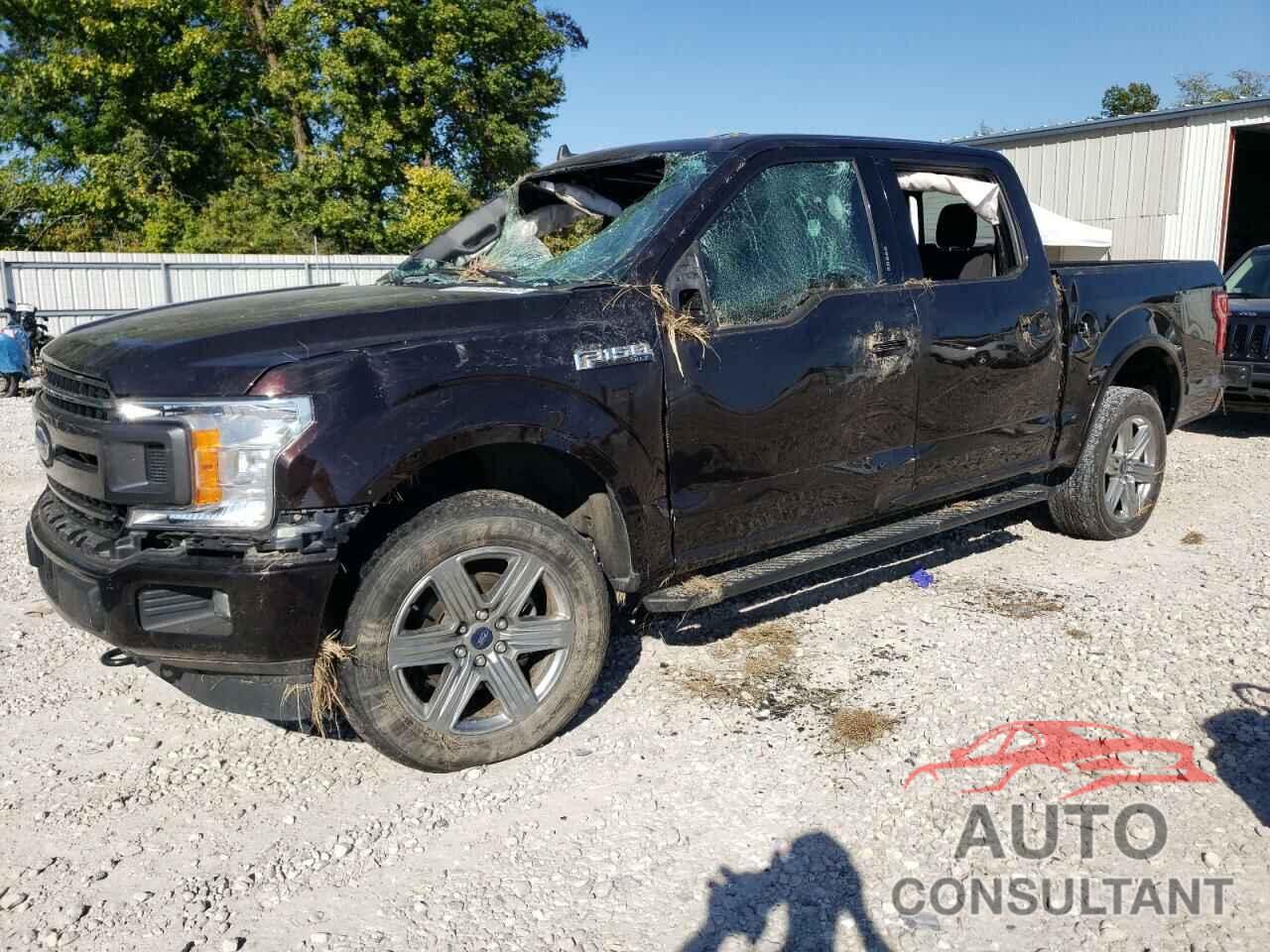 FORD F-150 2019 - 1FTEW1EP1KFB95168