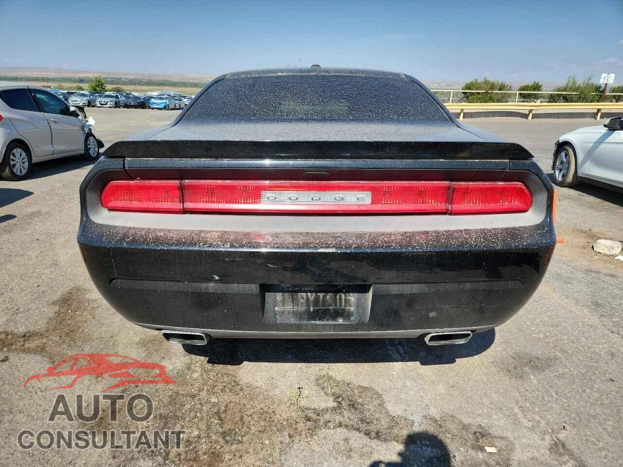 DODGE CHALLENGER 2013 - 2C3CDYBTXDH646837