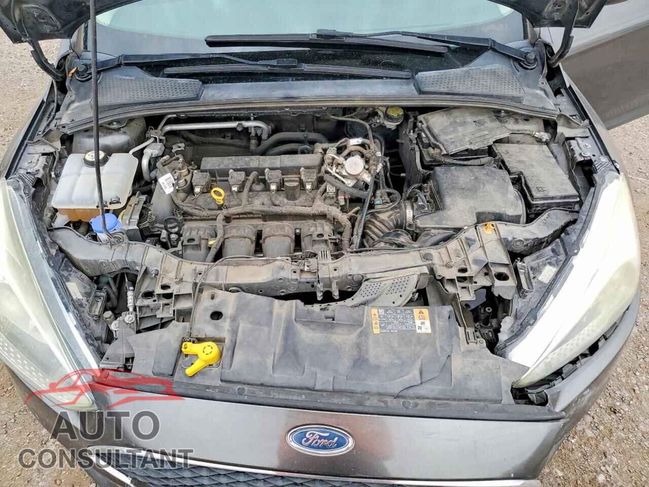 FORD FOCUS 2016 - 1FADP3E25GL369136
