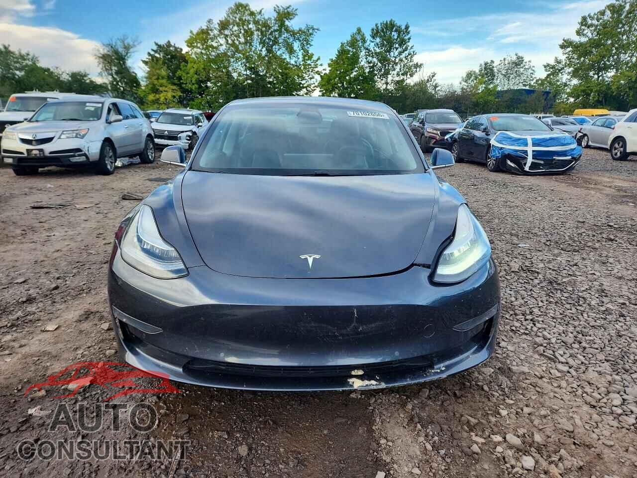 TESLA MODEL 3 2020 - 5YJ3E1EB3LF619972