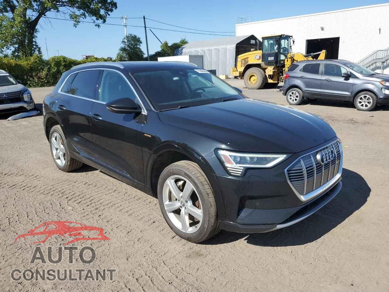 AUDI E-TRON 2019 - WA1AAAGEXKB011615