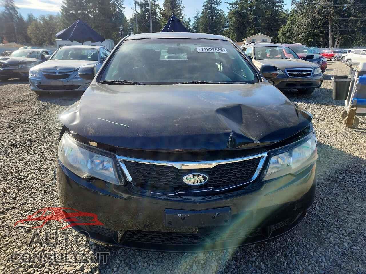 KIA FORTE 2013 - KNAFU4A21D5721598