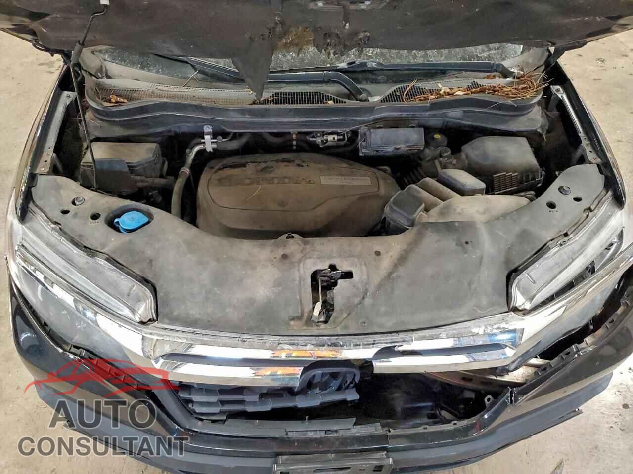 HONDA RIDGELINE 2017 - 5FPYK3F5XHB037529