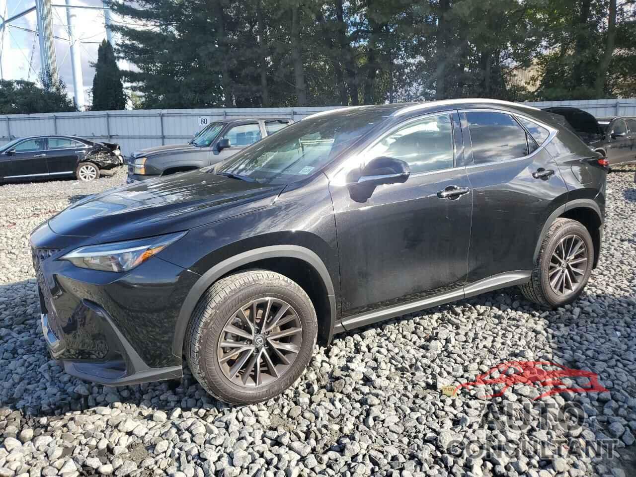 LEXUS NX 350 PRE 2024 - 2T2GGCEZ7RC051142