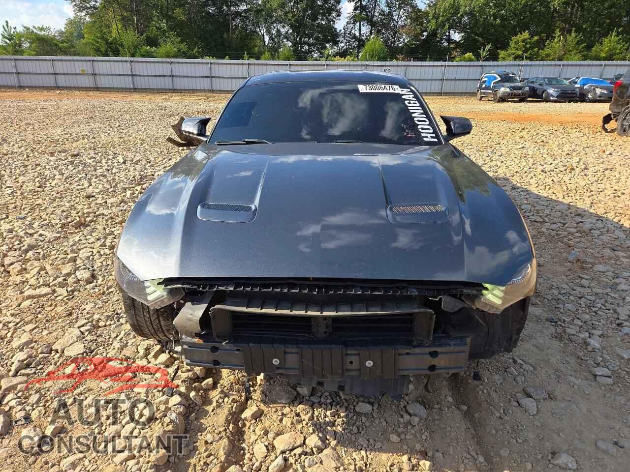 FORD MUSTANG 2019 - 1FA6P8CF7K5147710