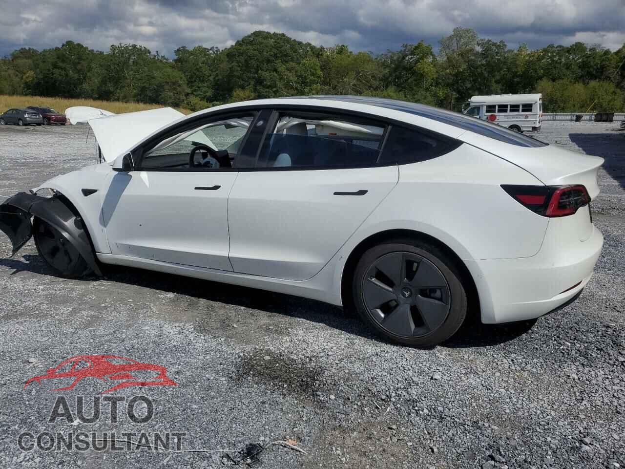 TESLA MODEL 3 2021 - 5YJ3E1EA4MF938838