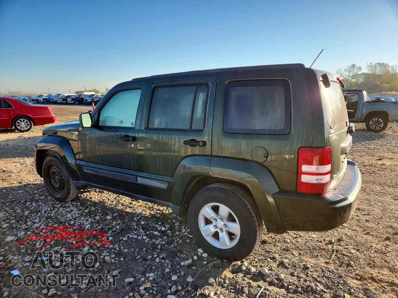 JEEP LIBERTY 2010 - 1J4PN2GK6AW128495