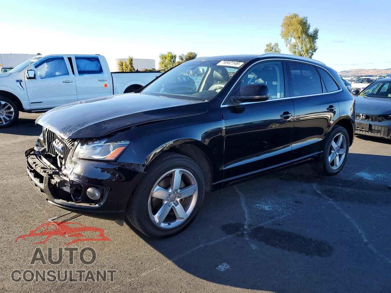AUDI Q5 2011 - WA1LFAFP9BA101986