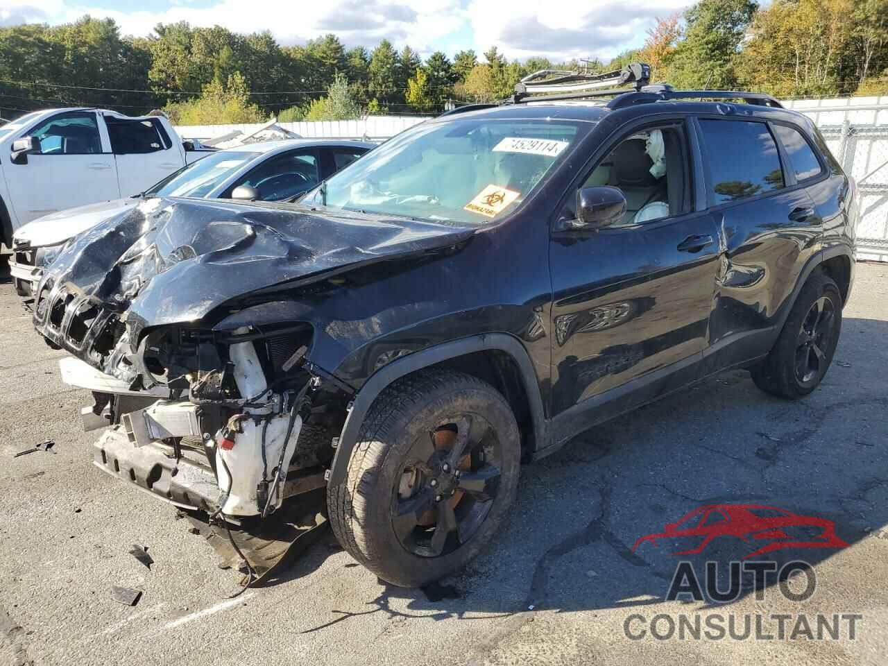 JEEP GRAND CHER 2019 - 1C4PJMLBXKD481497