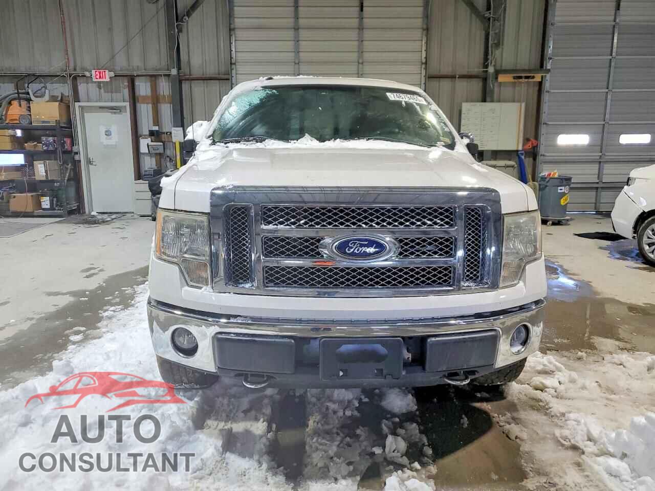 FORD F-150 2010 - 1FTFW1EV8AFD88516