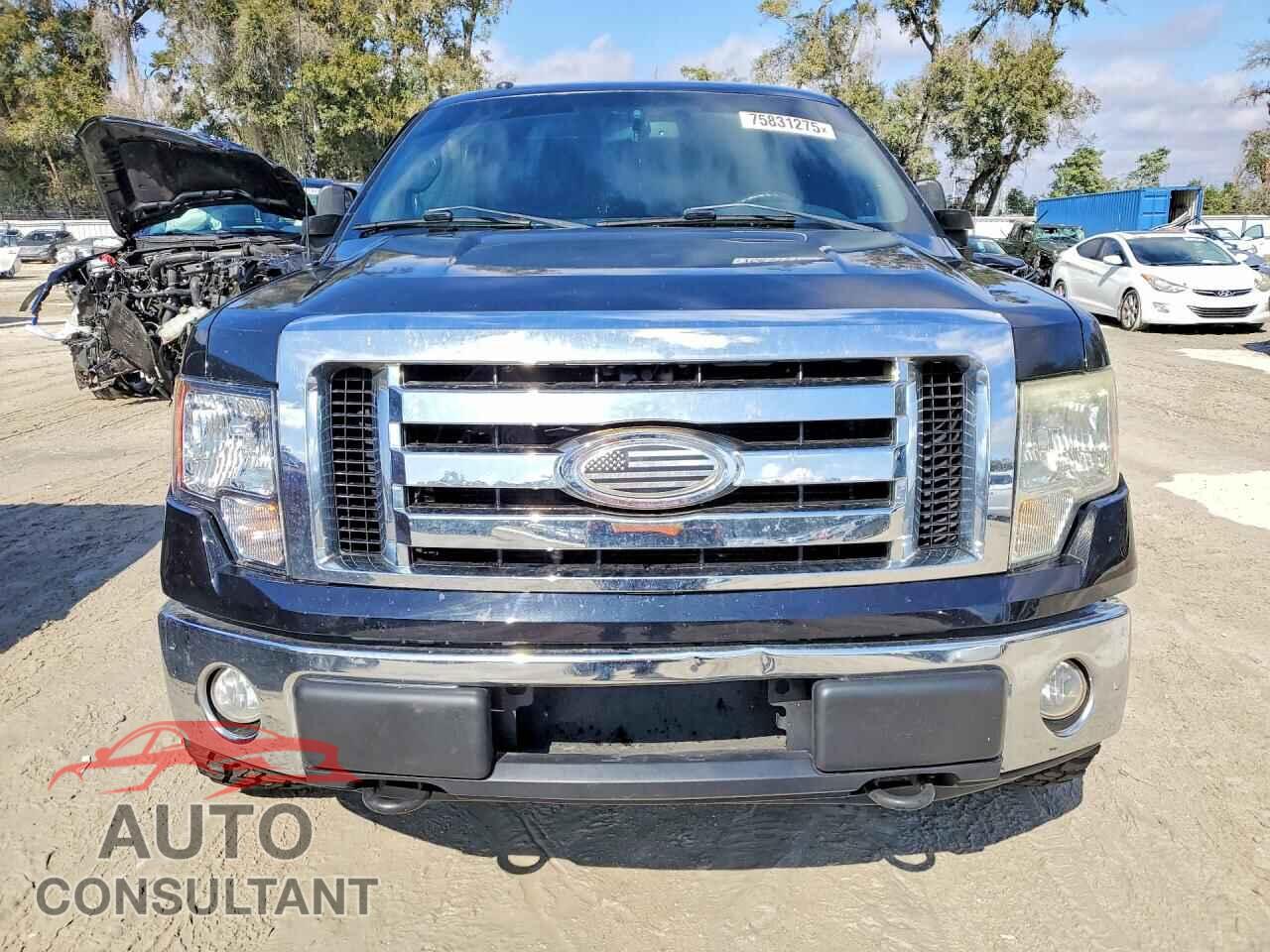 FORD F-150 2010 - 1FTFX1EV6AKA19528