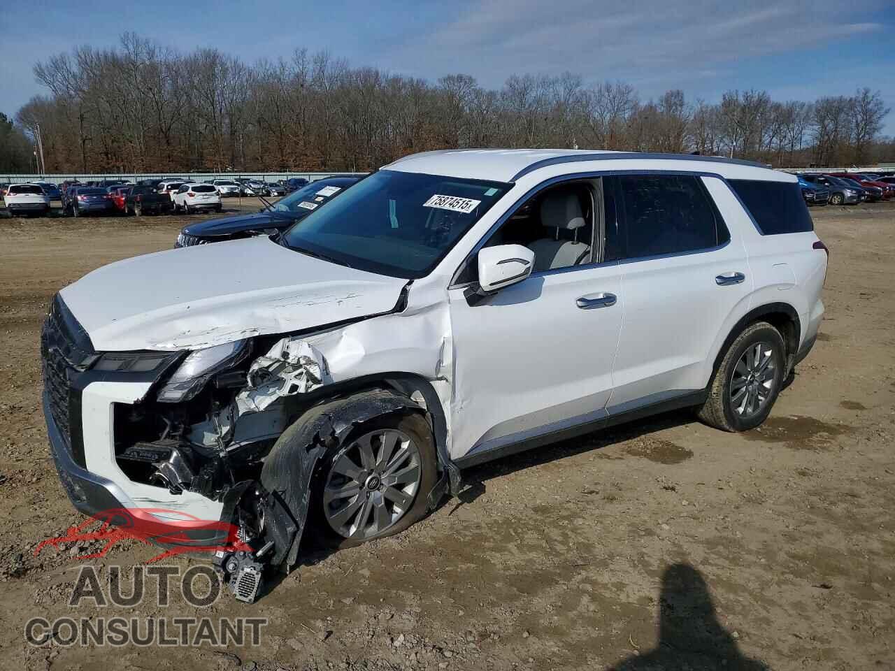 HYUNDAI PALISADE 2024 - KM8R2DGE2RU683024