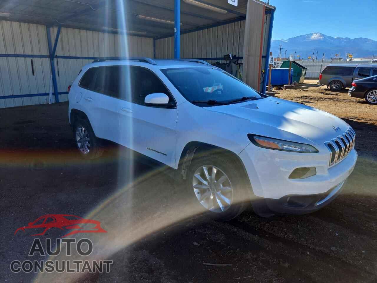 JEEP CHEROKEE 2014 - 1C4PJLDS5EW301506
