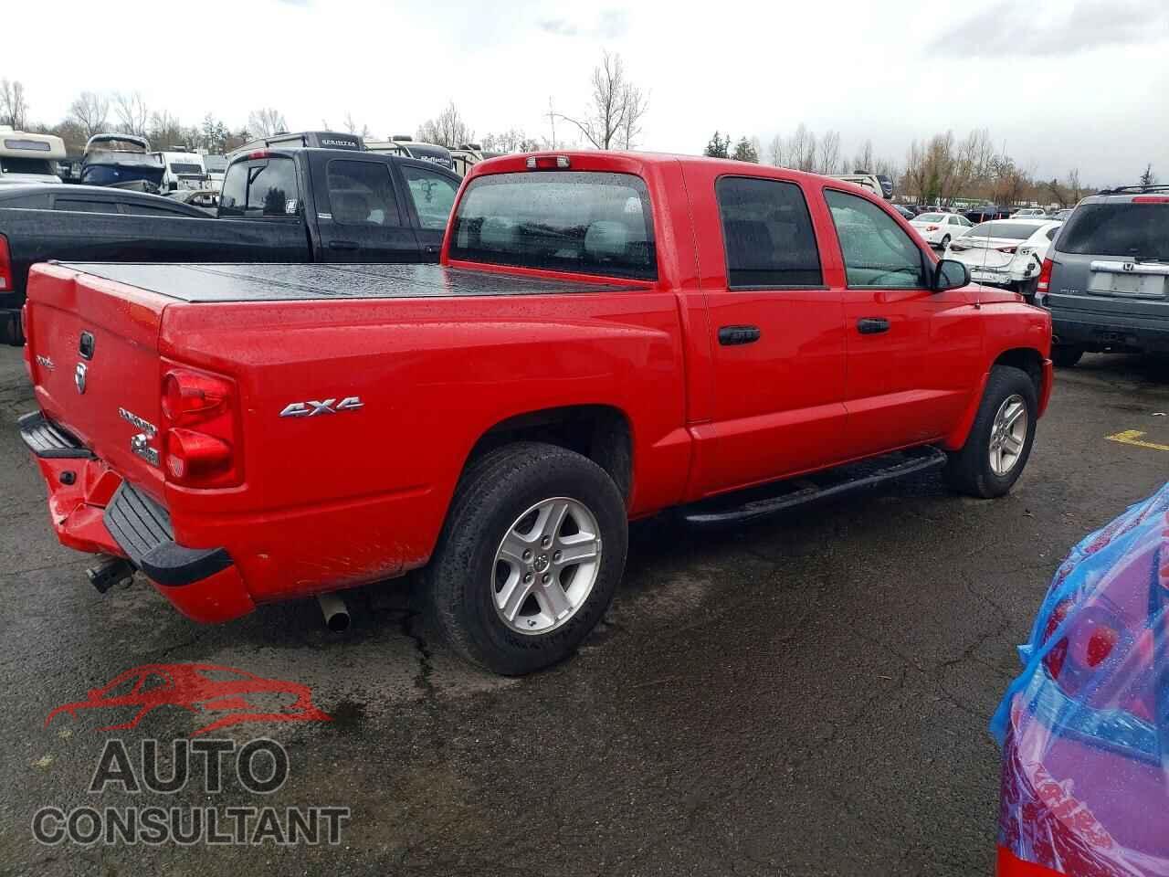 DODGE DAKOTA 2011 - 1D7RW3GK1BS537083