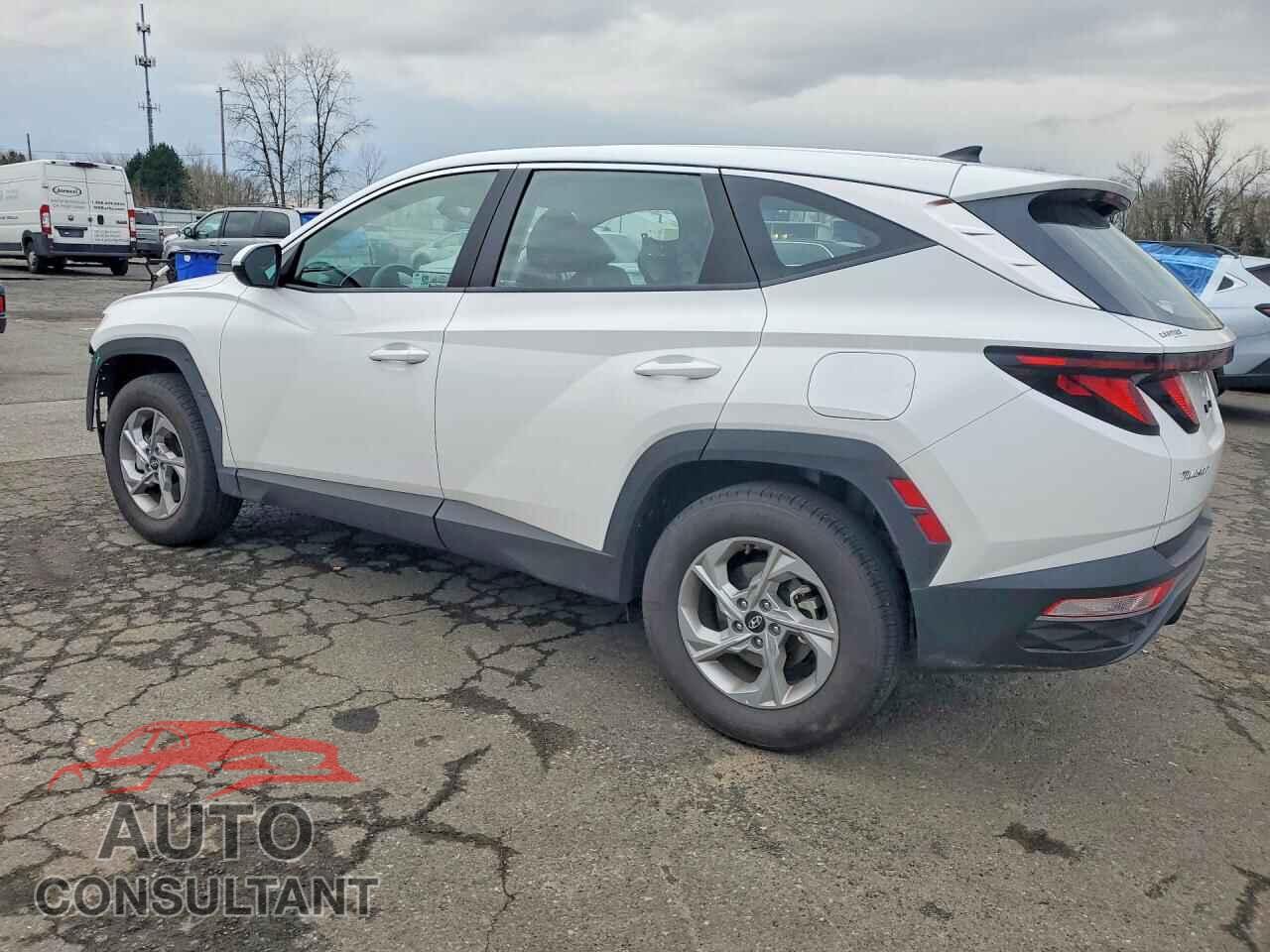 HYUNDAI TUCSON 2024 - 5NMJACDE9RH395995