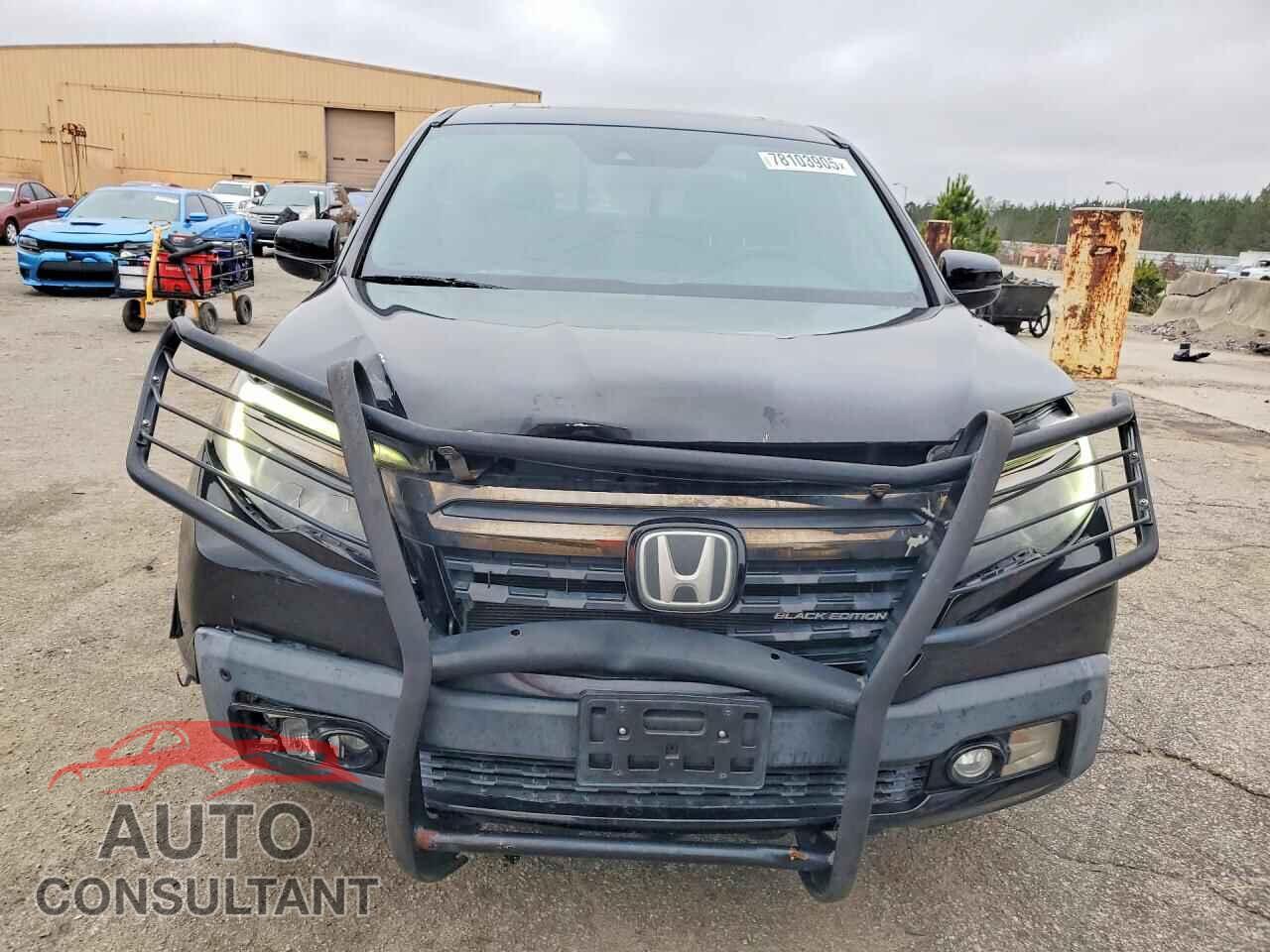 HONDA RIDGELINE 2017 - 5FPYK3F84HB005833