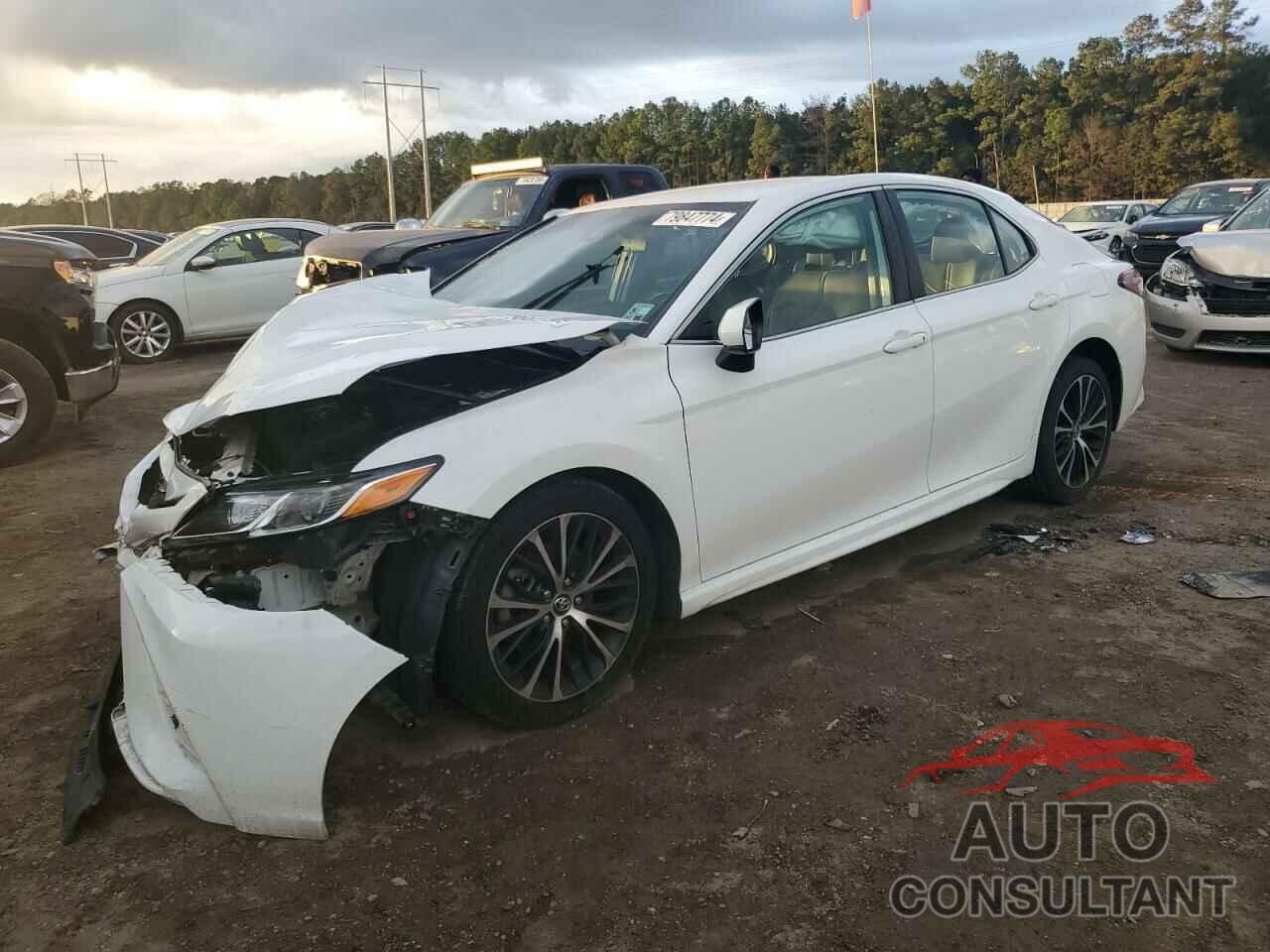 TOYOTA CAMRY 2019 - 4T1B11HK0KU272749