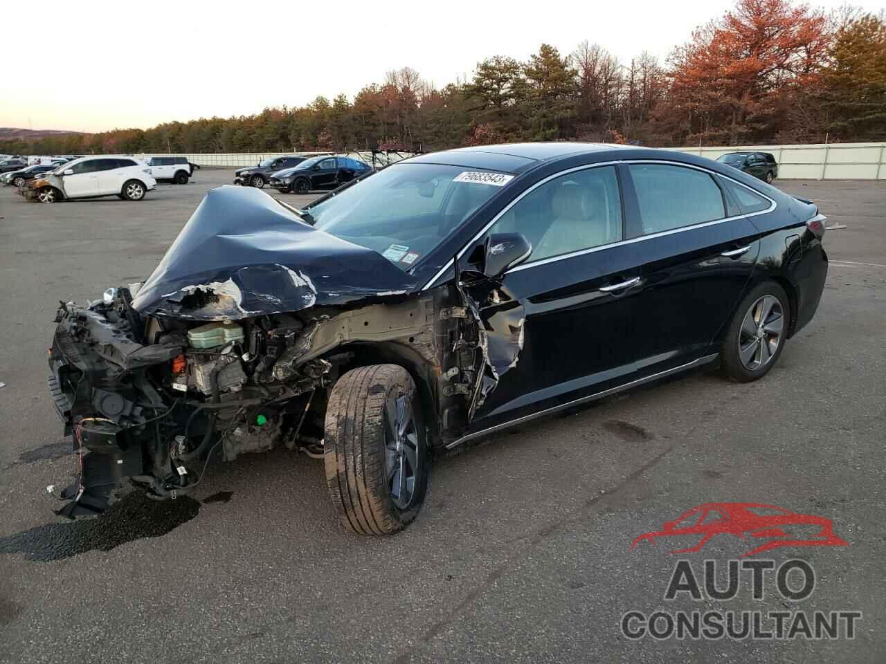HYUNDAI SONATA 2016 - KMHE34L11GA029659