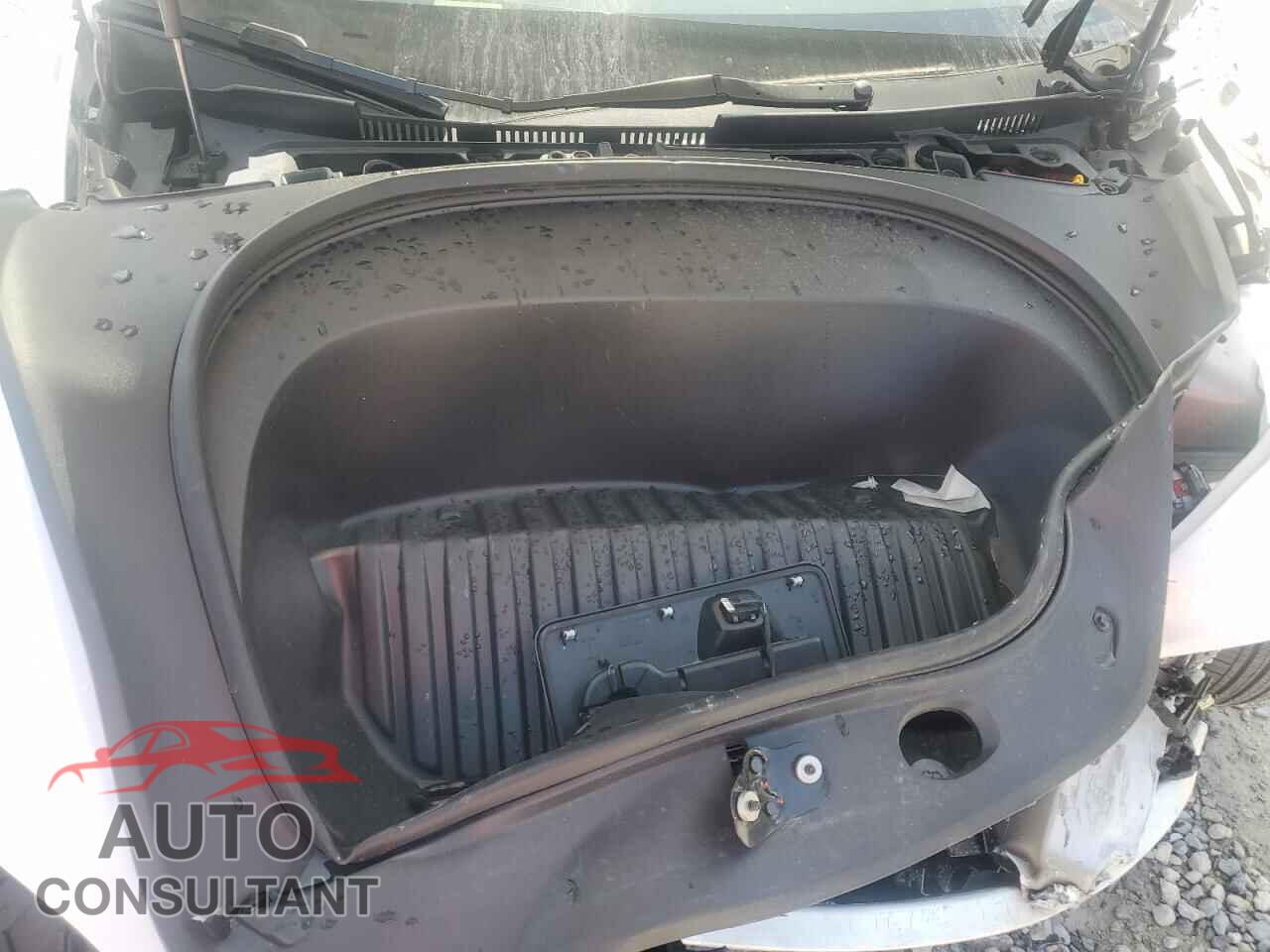 TESLA MODEL 3 2024 - 5YJ3E1EA4RF865767