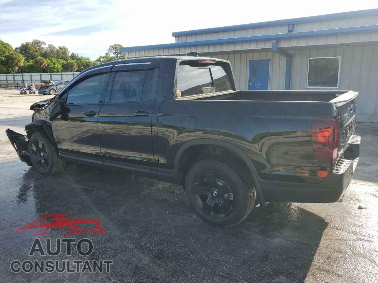 HONDA RIDGELINE 2024 - 5FPYK3F88RB019977