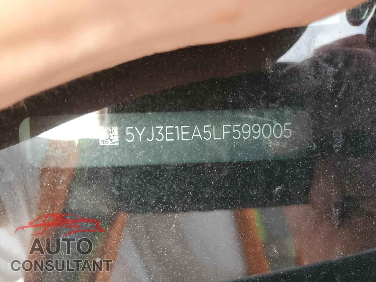 TESLA MODEL 3 2020 - 5YJ3E1EA5LF599005
