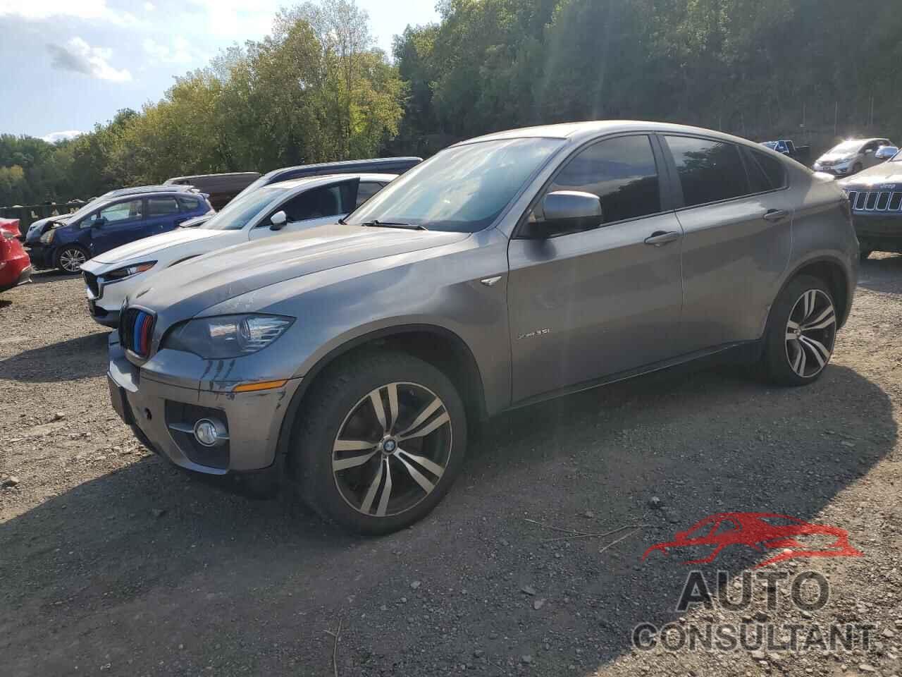 BMW X6 2010 - 5UXFG4C53AL225371